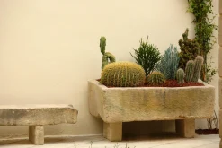 Flamant Coquille New