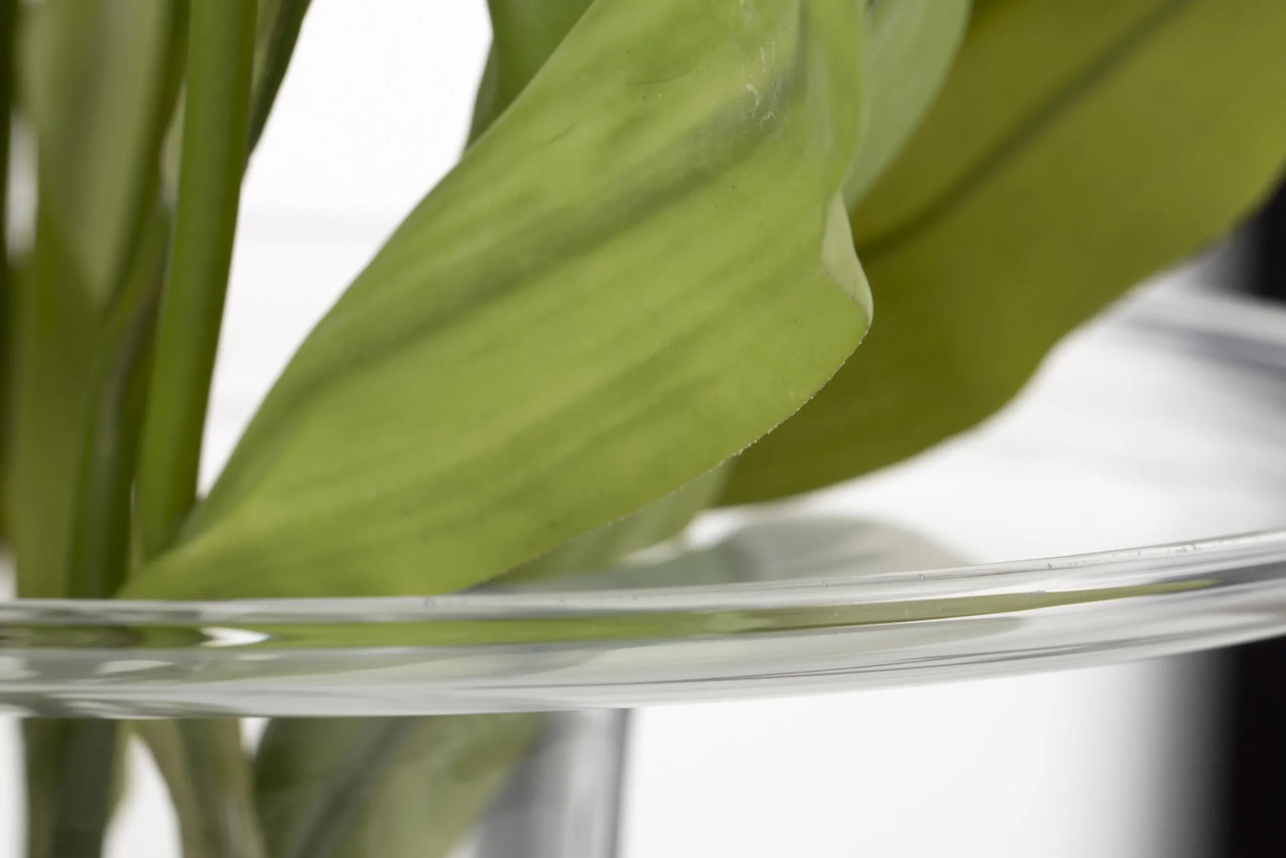 Flamant Cratere, Vase, Verre Online