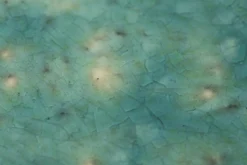 Flamant Cresta, Bol De Service, Ceramique, Turquoise, Rond, 37Cm Discount