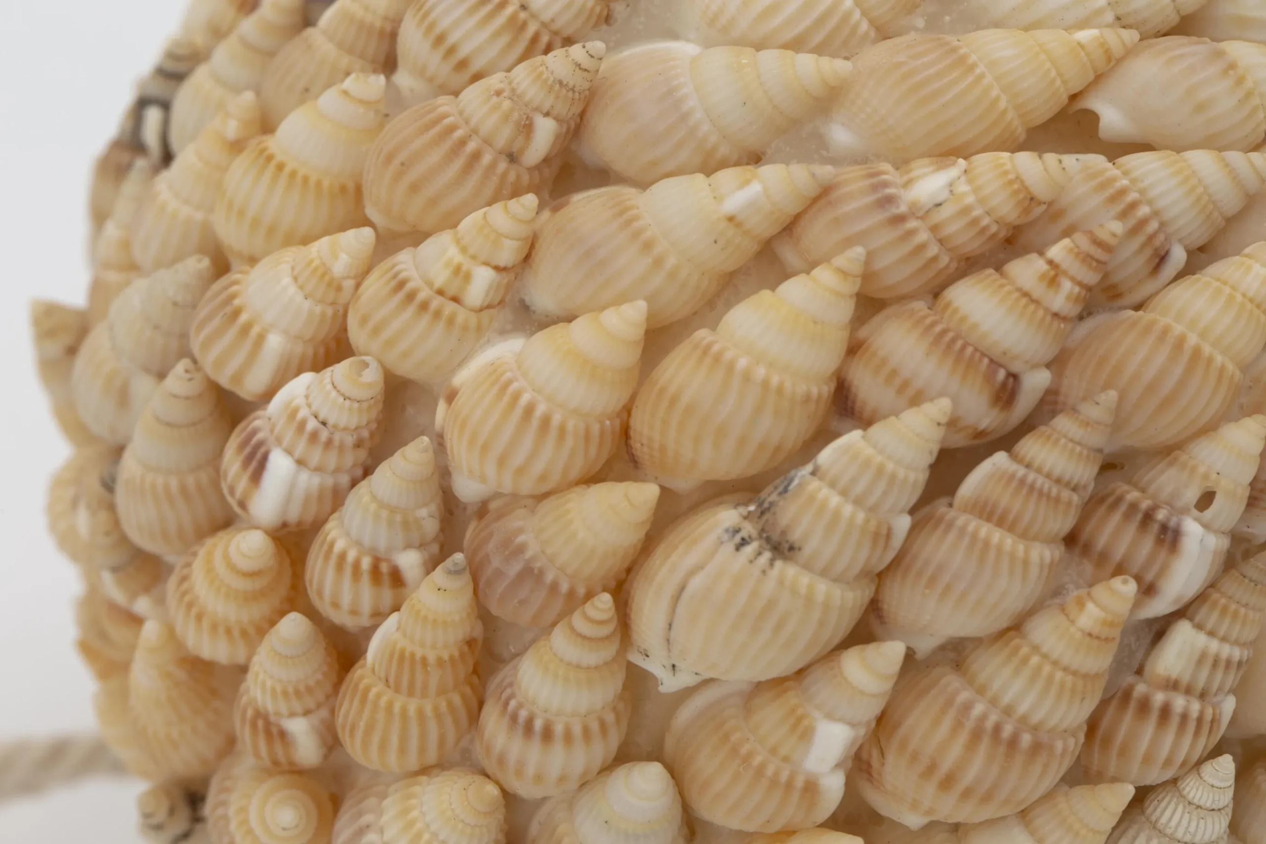 Flamant Darcio, Boule Deco, L Hot