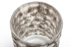 Flamant Hannigan, Photophore, Plumes, L