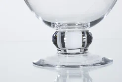 Flamant Jildau, Bol, Sur Pied, Souffle A La Bouche