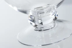 Flamant Jildau, Bol, Sur Pied, Souffle A La Bouche