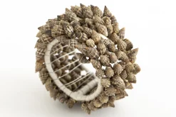 Flamant Kanare, Rond De Serviette, Coquillages Clearance