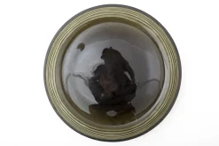 Flamant Kemi, Plat, Verre Clearance