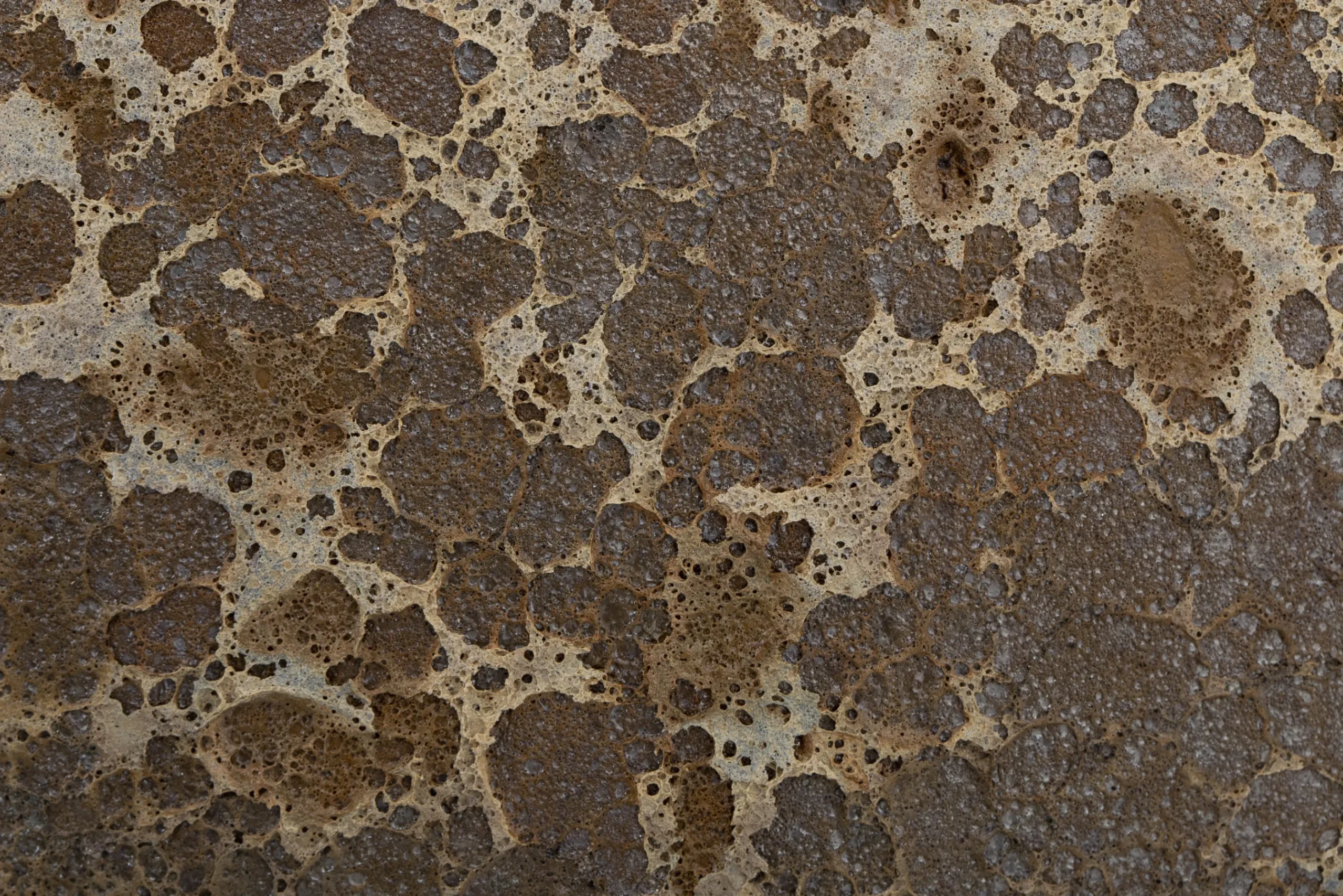 Flamant Kronob, Jardiniere, S New