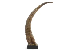 Flamant Lucarne, Deco, Corne Discount