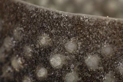 Flamant Max, Lampe Eolienne, Verre, M Best