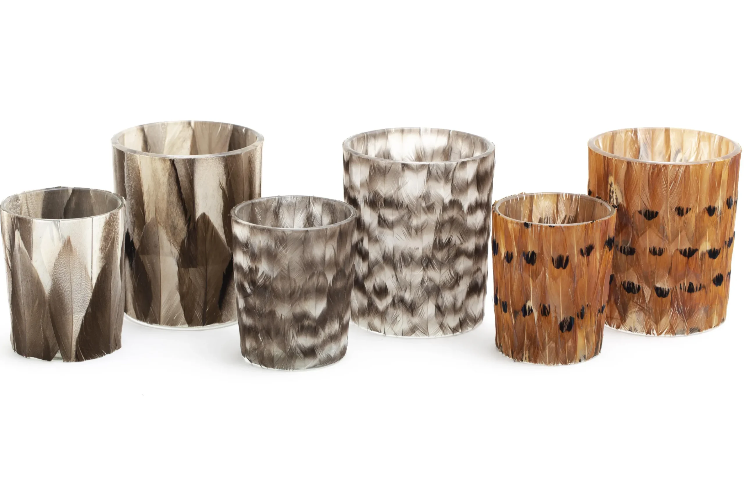 Flamant Sterling, Photophore, Plumes, L Best