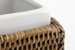 Flamant Togo, Porte Dentifrice, Roseau Sale