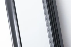 Flamant Webbs, Miroir, Noir